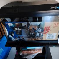 acquario askoll tenerife67