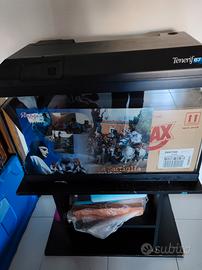 acquario askoll tenerife67