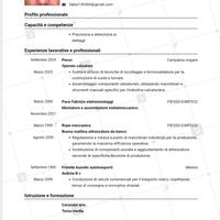 Metalmeccanico calzature