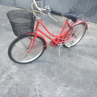 Olandesina raggio 24 pronta all'uso.