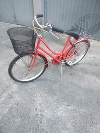 Olandesina raggio 24 pronta all'uso.