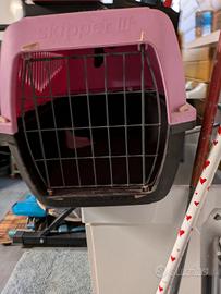 accessorio per animali 