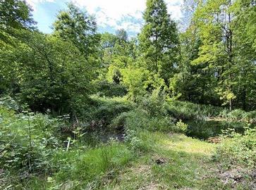 Immobile in asta di 5930 m² a Bisuschio