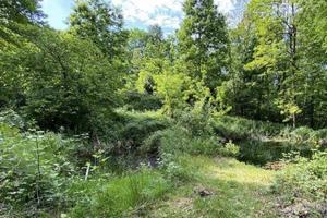 Immobile in asta di 5930 m² a Bisuschio