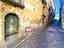 Immagine 4