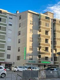 Bivano a Quartu Sant'Elena