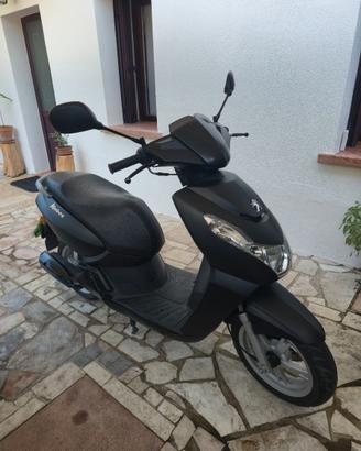 Kisbee 50 4t