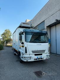 Iveco eurocargo 80e21