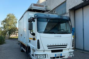 Iveco eurocargo 80e21