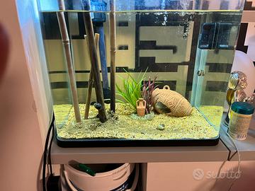 Acquario Billy 30 lt