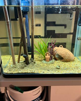 Acquario Billy 30 lt