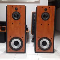 Diffusori Dipolo D. G. Audio,  3vie,8 Ohm.