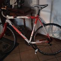lombardo monza 3.0 perfetta. a Terni. 