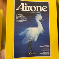 Airone dall anno 1984 al 1995