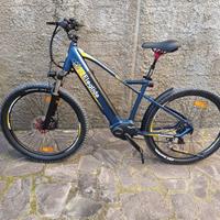 ebike