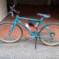 Mountain Bike (cerchi da '26)