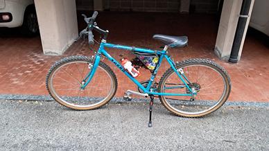 Mountain Bike (cerchi da '26)