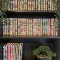 Jules Verne - Collezione Hetzel (67 romanzi)