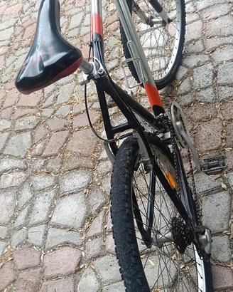 Mountain bike 