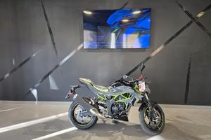 Kawasaki Z 125 MY 2026 Pronta Cosegna