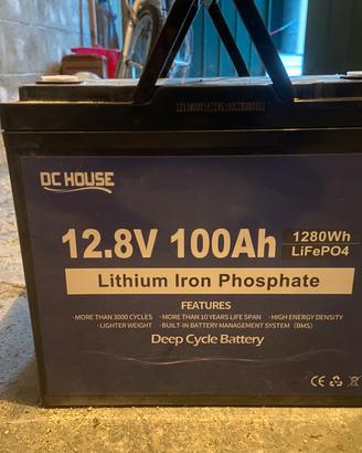 Batteria Litio LiFePO4 100A 12.8V DC House
