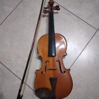 violino 