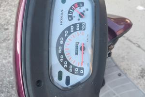 Scooter bali