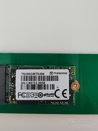 SSD M.2 Transcend 256 GB