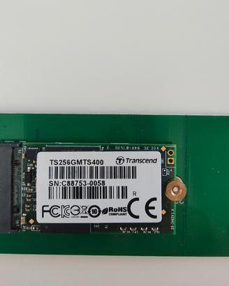 SSD M.2 Transcend 256 GB