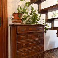 Cassettiera in legno massello