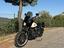 Immagine 13