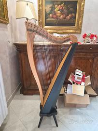 Arpa celtica Dusty Strings Ravenna34