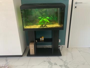 Acquario wave Poseidon 80