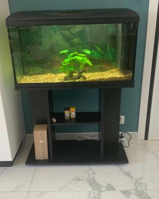 Acquario wave Poseidon 80