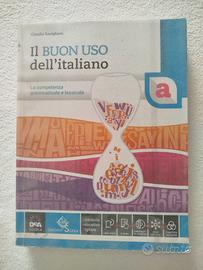 Il buon uso dell'italiano 