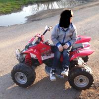 quad polaris elettrico  TRATTABILE