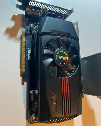 Scheda grafica Asus Nvidia GTX 550 ti 1 Gb
