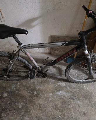 Mountain bike Fontana 26 bici 