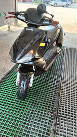 Scooter Benelli 491 50/70