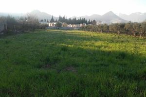 Terreno a Castrovillari