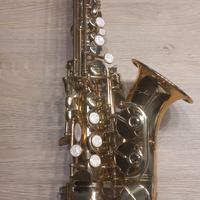 sax cigalini