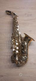 sax cigalini