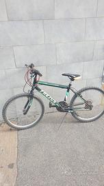 biciclette 