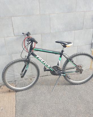 biciclette 