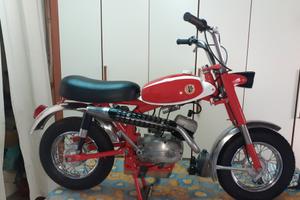 beta boy special 
