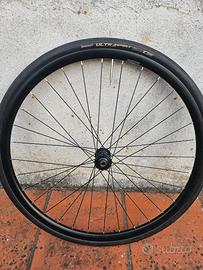 Coppia ruote dp19 shimano disc perno passantente