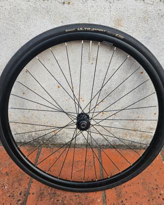 Coppia ruote dp19 shimano disc perno passantente
