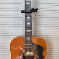 Chitarra Eko Ranger 12