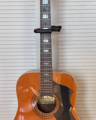 Chitarra Eko Ranger 12