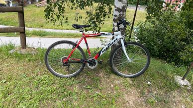 MTB Ragazzo 26"